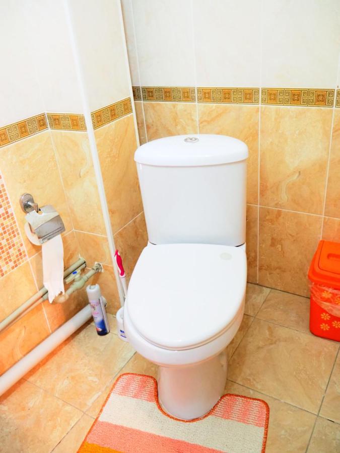 Baktygul Guesthouse Naryn Екстериор снимка