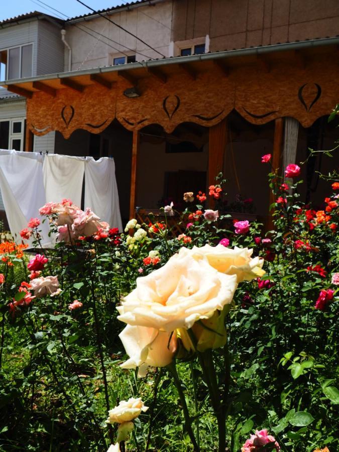 Baktygul Guesthouse Naryn Екстериор снимка
