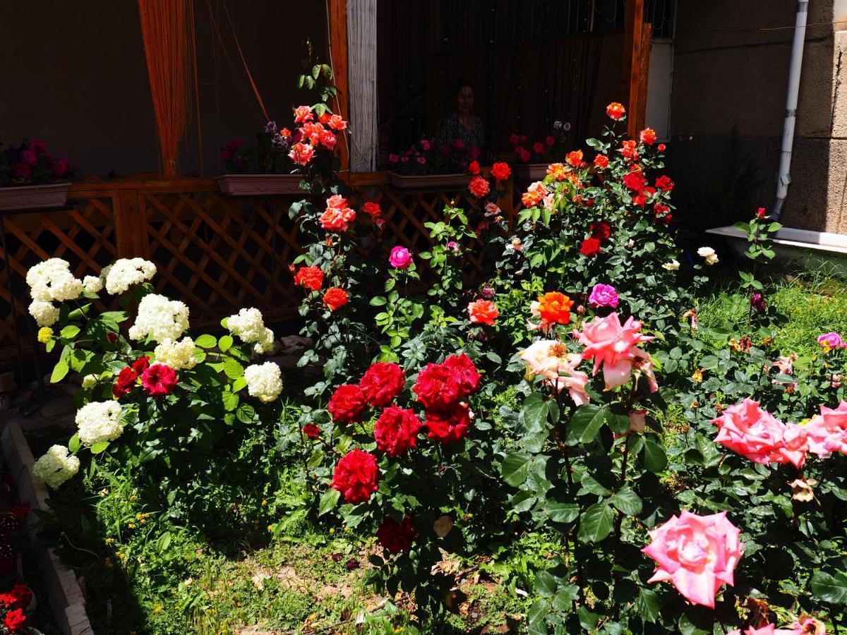 Baktygul Guesthouse Naryn Екстериор снимка